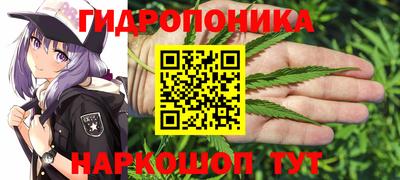 молекула духа Рыбинск