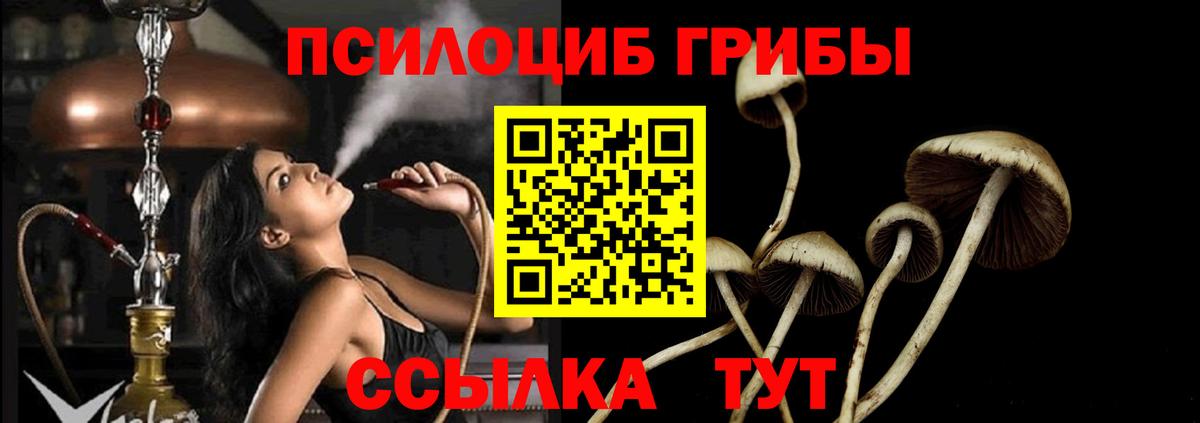 Галлюциногенные грибы Psilocybe Рославль
